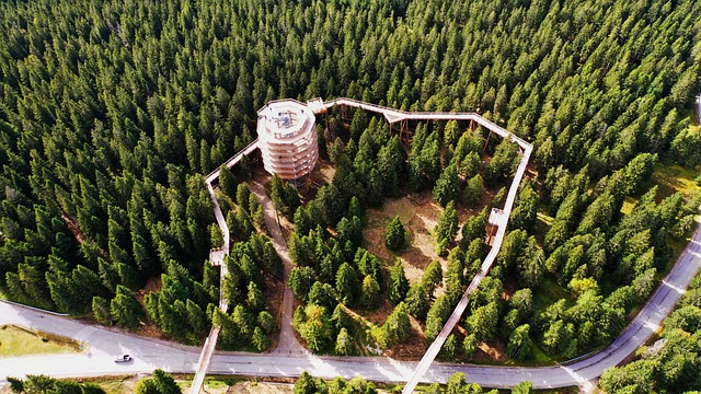 Dansk stue med radiatorer og termostatstyring, hyggeligt og energieffektivt hjem